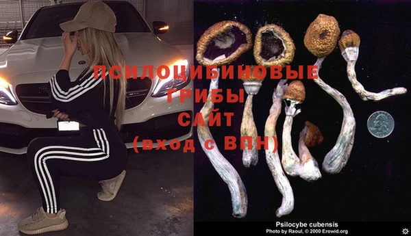 амф Алексин